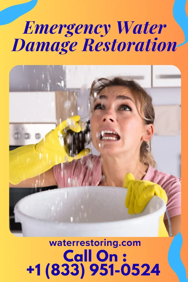 Emergency Water Damage Restoration in Galesburg, ND